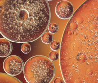 LFB konference 11.04.2025. Rīgā