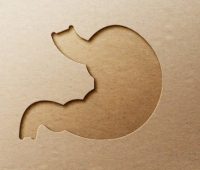 LFB tālākizglītības konference 13.03.2026. Rīgā?v=1771966395